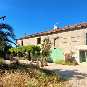 Gite Palmier Mas La Cle D Ailleurs Lapalud